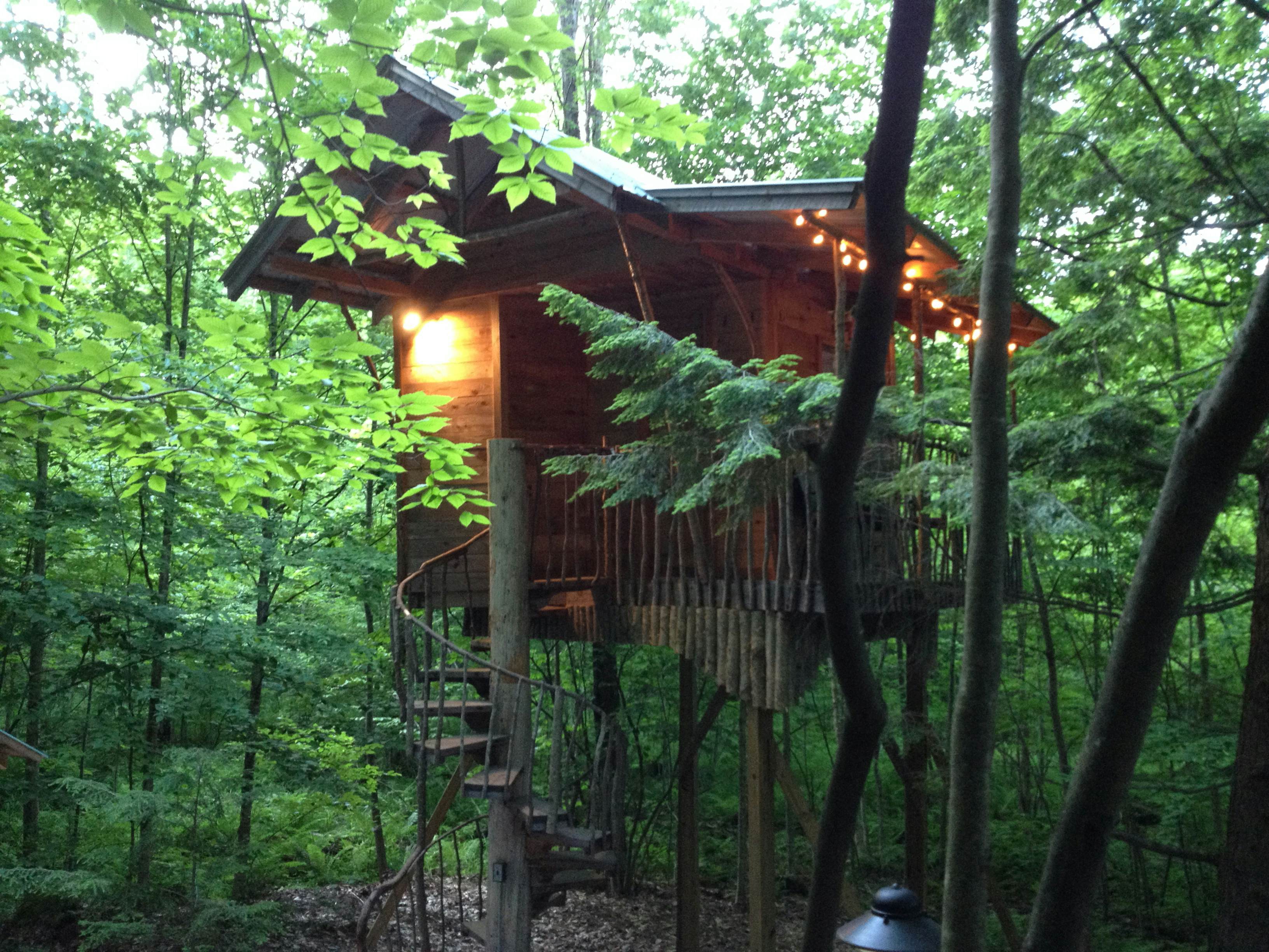 Best tree house vacation rentals in the USA Lonely